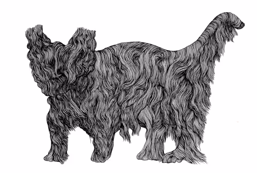 Item #48216677678887992956199146050101977369740452437452834237877791416809143926785 Media