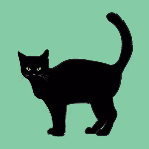 Item #80696249436055394954019709408245790600989906871501541659178239251696563781633 Media