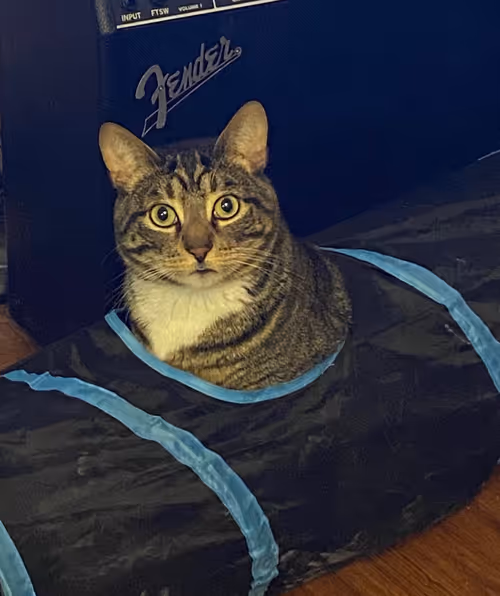 Item #88757535530916036863306002647809109413853931546196704889611083878643309477889 Media