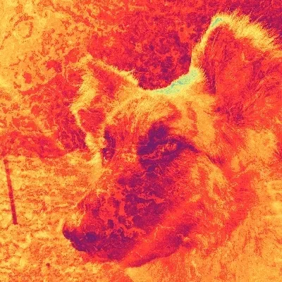 Item #47428341271170390733253974222101382154768714392453356712130950053506393833473 Media