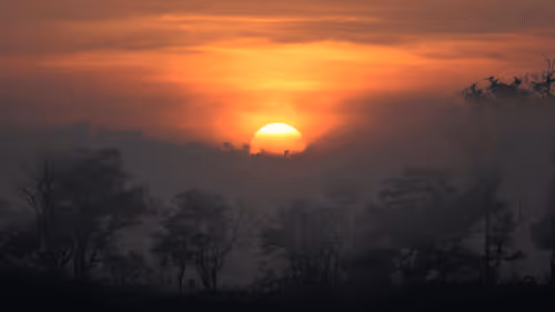 Item #102561797867931923211566826687344037495511031349577863816331597012450200780801 Media