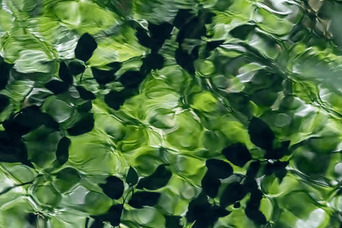 Item #81441334517361708208394031135700195474624799851237506988747108068951806967809 Media