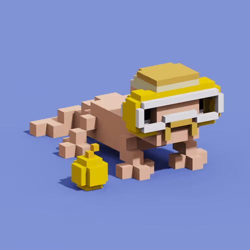 Item #56252324600747266163619142925671027478176081584124079557656896957107287359489 Media