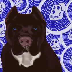 91689843230696245992439202350247333357783521144544667404119791324137955262465