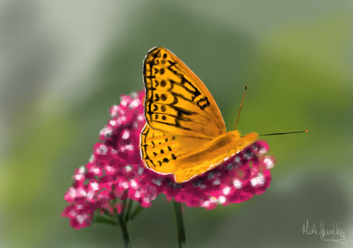 Item #39421720859211354598059957797071189726995094898407091321274451942972210544641 Media