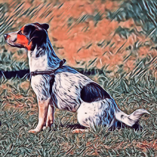 Item #51313302132644519913343847646347811445510524411913136629935893352415659819009 Media