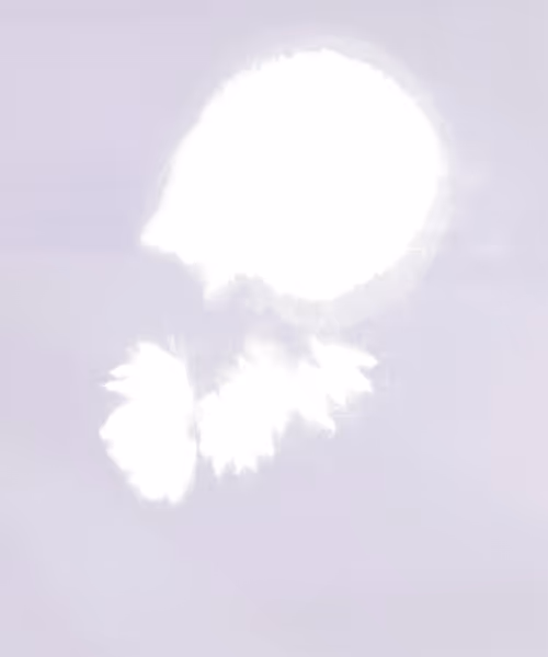 Item #66412083877775050052255921183624814536266007620308041883263231605944963039233 Media