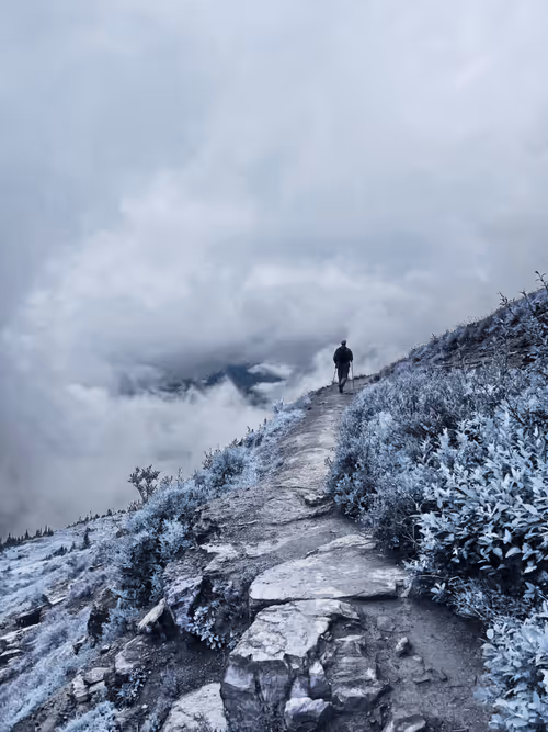 Item #62001089897654043678582796294711651900724303774679820814799839858761993814017 Media