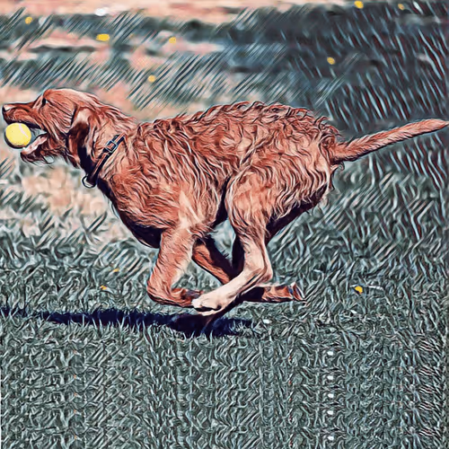 Item #51313302132644519913343847646347811445510524411913136629935893350216636563457 Media