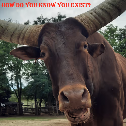 51313302132644519913343847646347811445510524411913136629935896339788752486401