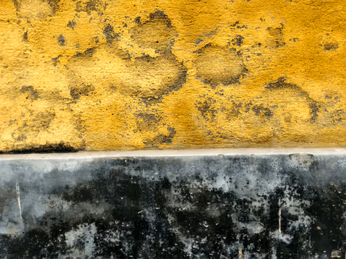 Item #77837778009088564188174628045169397065653229955612462896383264971425077788673 Media