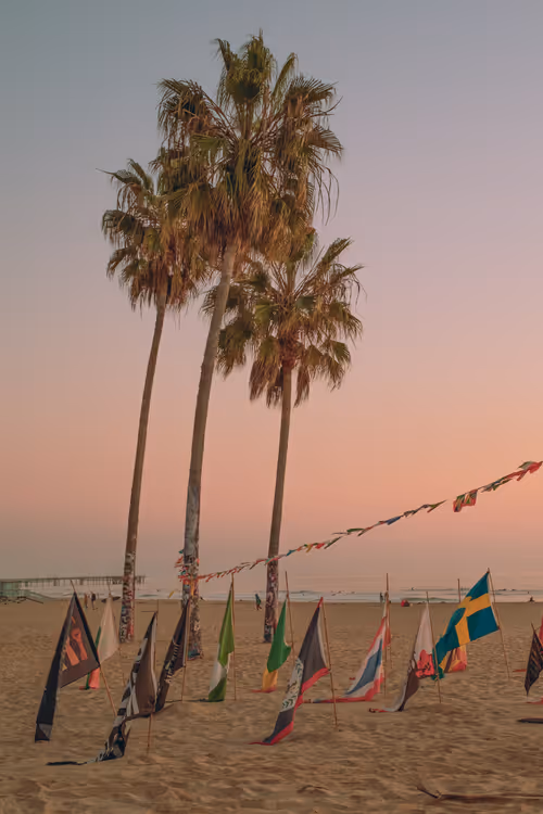 Item #35557780727049604459658880725917592814256363748111026780455796799185545592833 Media