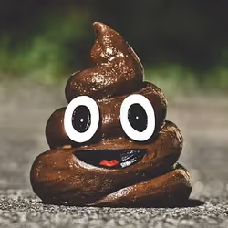 87168689642386041159639833587462629267916266200200208185872491630414645952513