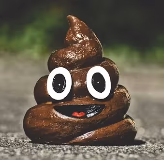 Item #87168689642386041159639833587462629267916266200200208185872491630414645952513 Media