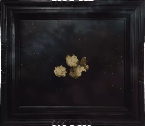 Item #94322073105437744661048811618381034051372425087831030471219035952653675790337 Media