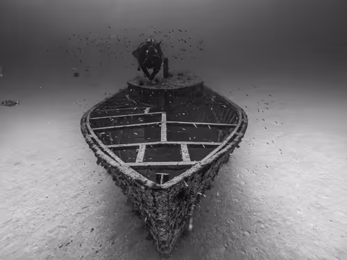 Item #19055507172542008720847652875739134943626923912998575187859622417334645293057 Media