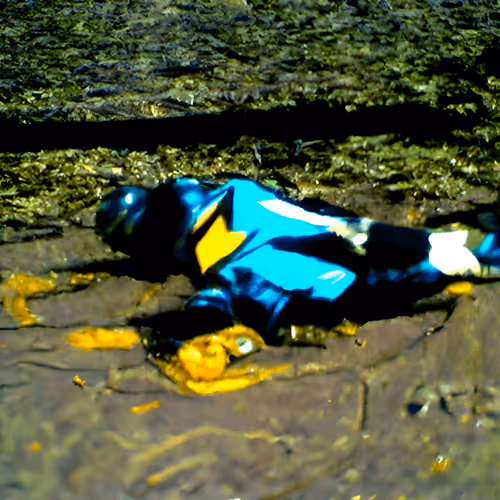 Item #13045274408698368694273523963703494583510855620855910108097693656861363929089 Media