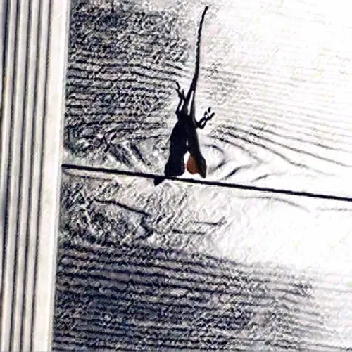 Item #6822172971026890418880562505450227759252596580722353794181564530586632060929 Media