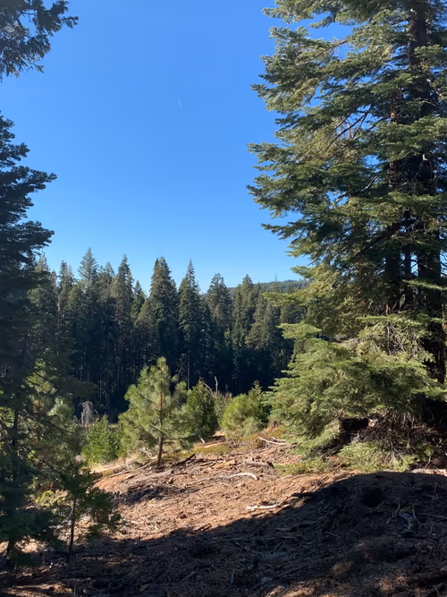 Item #92878865255826321536132190645537413346601958767864056232654340025468315500545 Media