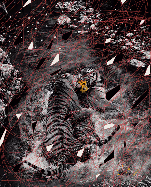 Item #24687316656696377776097421634419303243966632961462953667564156930231847878657 Media