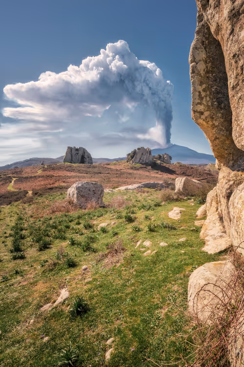 Item #29665505459776512063151611391641042533234332755845632920050768261962604216321 Media