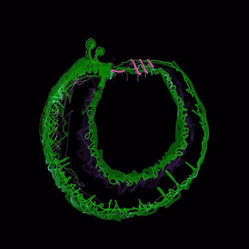 Item #5872032801543451342919395674564413574047504786852339982974447249703462502401 Media