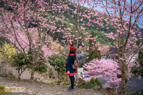 Item #100744422725674417057824683306763013505668843176654858816283483970315420172289 Media