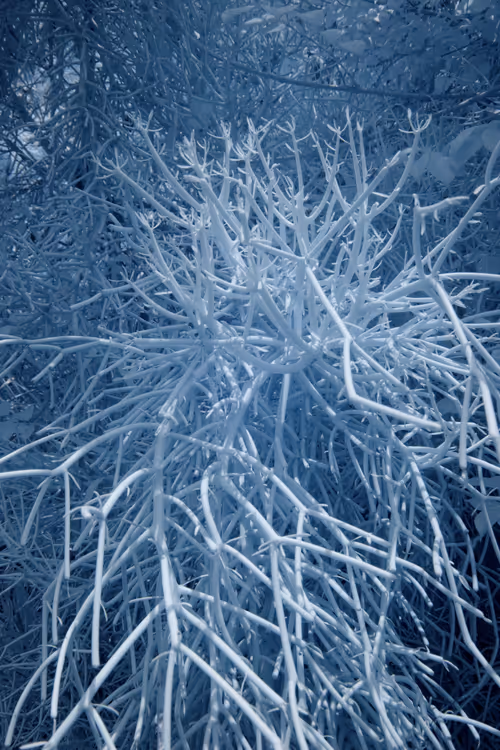 Item #84630877256389803822544637333020280854396826404545033634090050560840970534913 Media