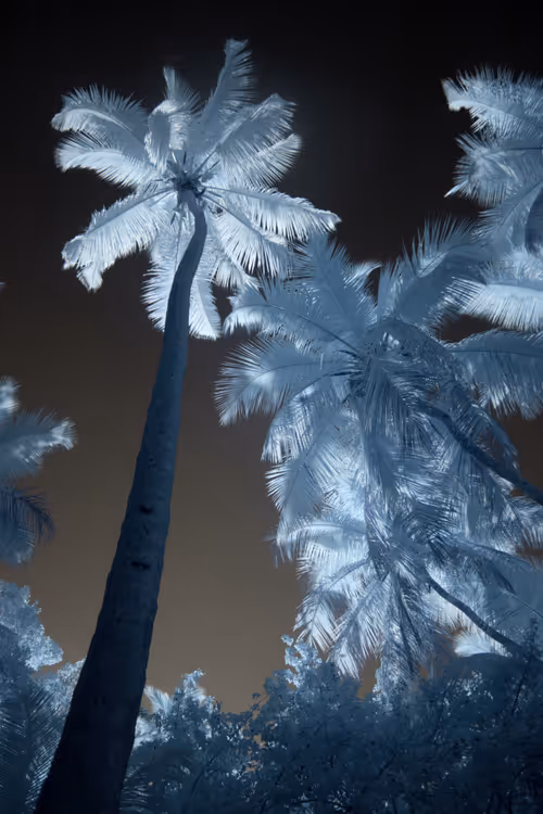 Item #84630877256389803822544637333020280854396826404545033634090050567438040301569 Media