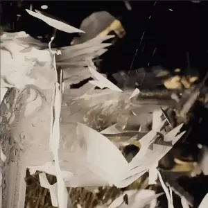 Item #69445087619166619894754578791913039202659389879418937639808736034146723299329 Media