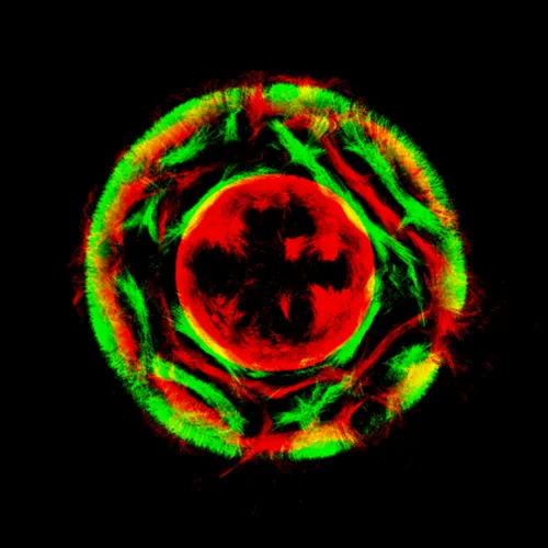 Item #51929734946411346289540790635765095060363125039145709683616697025415822180353 Media