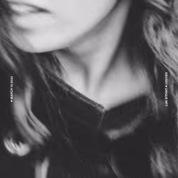 5978613787773959064064561136939516829698711004901919756353002619003404812289