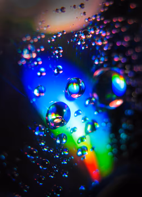 Item #41234467352345795987762093043461783770169044138766201577467704816549033410561 Media