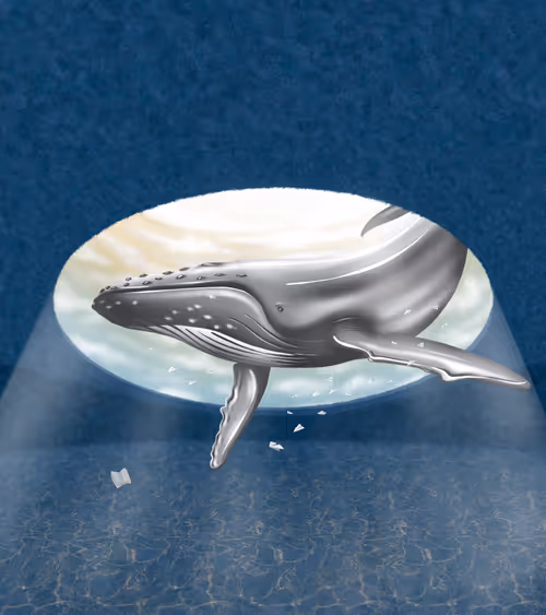 Item #97212290259087071817505957350348234498222495620151438851581747399053715439617 Media