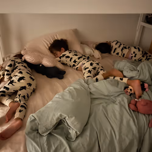 Item #62437439308456912945506612413278711304465204586047969314274856057901762478081 Media