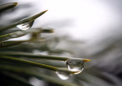 Item #59259199848972023857732761646304634361280699770576024418514166887176887861249 Media