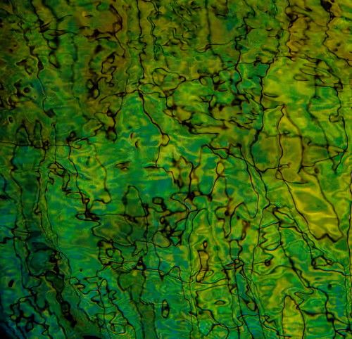 Item #46944938960673813338886078484753725649704761044692071067945505058476003426305 Media