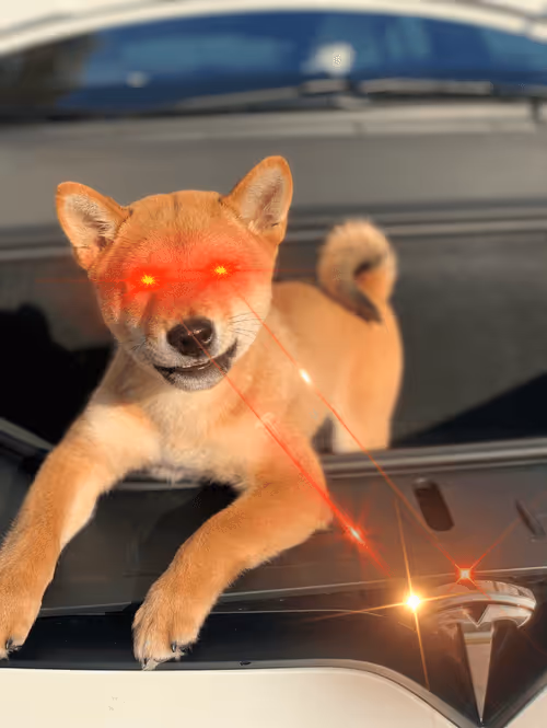 Item #4583203688154496710464576617550160289260541301864270714739251207649915568129 Media