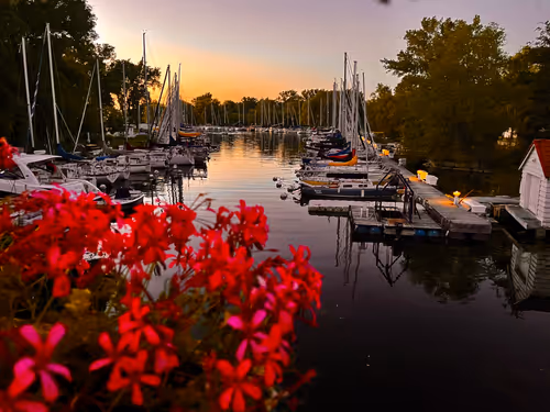 Item #33261409280827848890636833313665954217119010705453802455397167657997916176388 Media