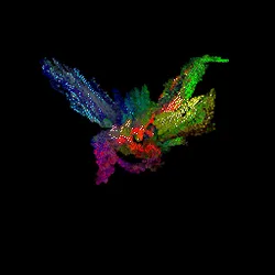 46324335966005134489359889852548900547468907611747407073082691778902847651841