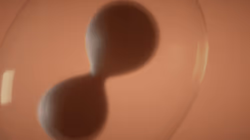 Item #84603833183407696746026911054837735709101357107176195035330669132887554523137 Media