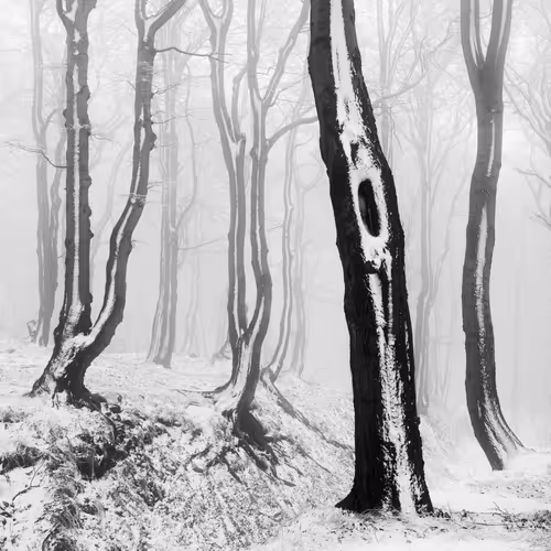 Item #101547054933813335062644925459541226737619958059144835271274916358626318745601 Media