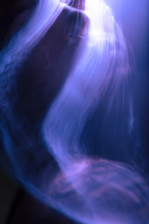 Item #76431782257273330692581047290222378292869117090042347173899293293695626903553 Media