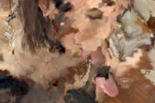 Item #27175538774817670301981119189846699523933914292239667168195015545553913118721 Media