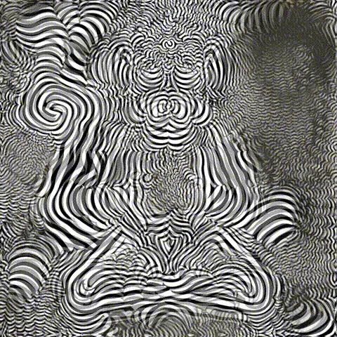 Item #45672992005907757268985552392423342694169509694579076490924614690821812256769 Media