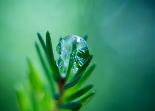 Item #59259199848972023857732761646304634361280699770576024418514166920162236694529 Media