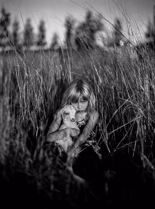 Item #107338736840495903892700830333162816701828415005499690242546380947291692335105 Media