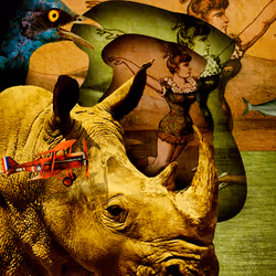 100530806084711796546938868307054534935021688756287630503203483602848703315969