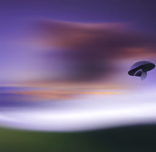 Item #68191600805378060994990530553063317050227610382649141130787624750615889969153 Media