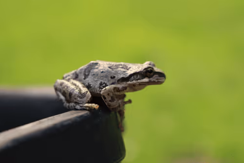 Item #44273629409218197910216855798580791284590579084618955368673503936322182578177 Media